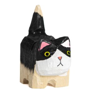 Svart/vit Katt