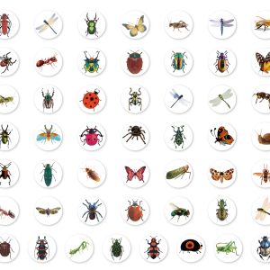 Stickers på rulle med insekter 200st
